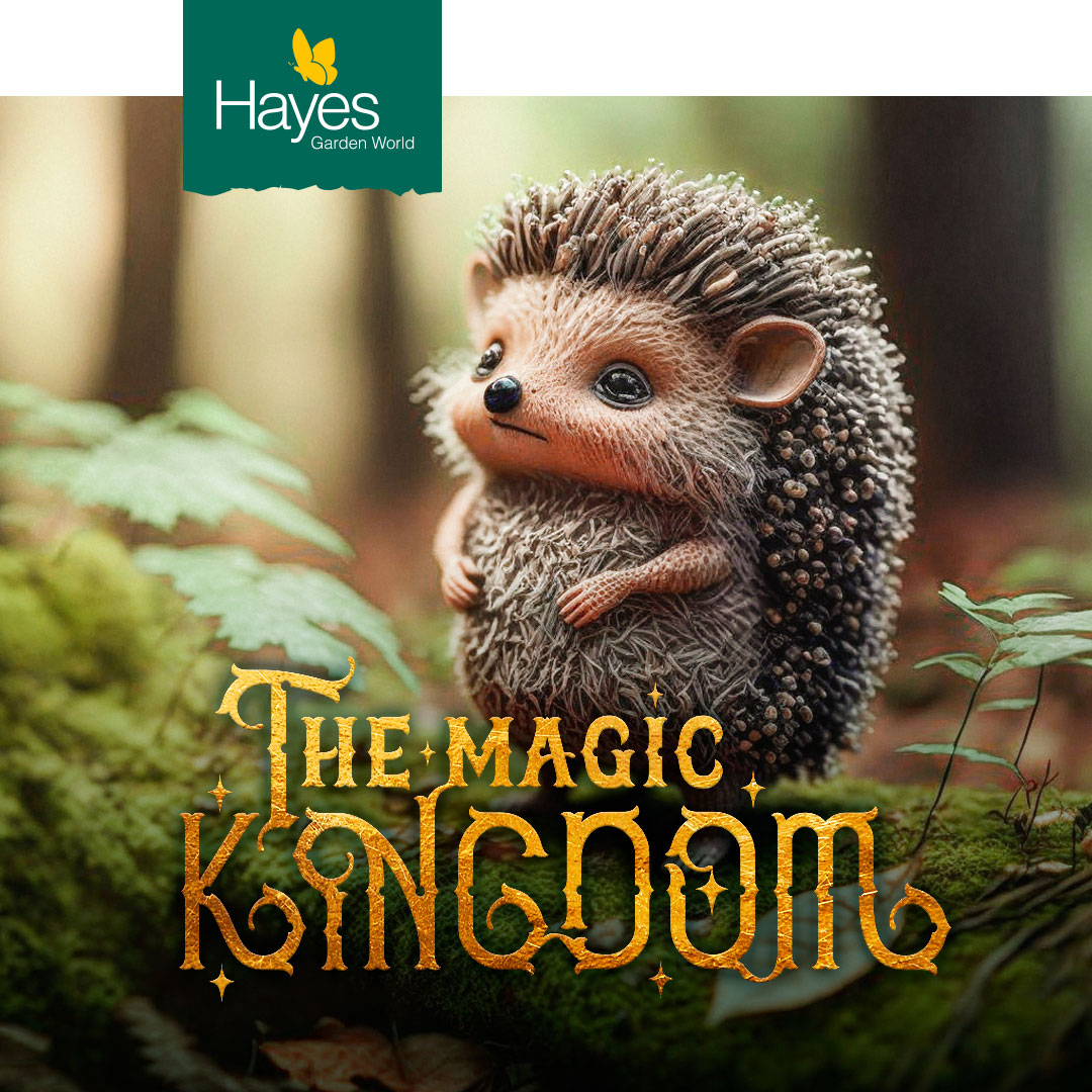 brand-social-media-event-design-hayes-magic-kingdom-teaser-campaign-hedgehog