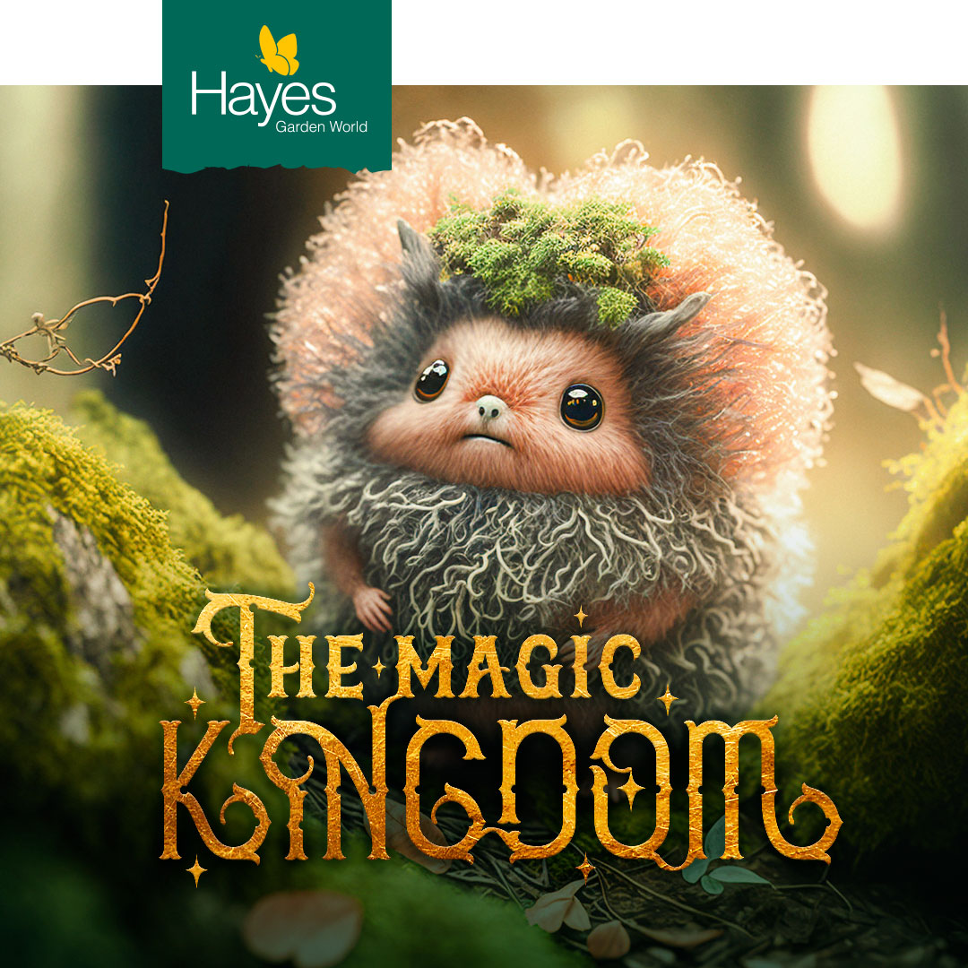 brand-social-media-event-design-hayes-magic-kingdom-teaser-campaign-puffkin