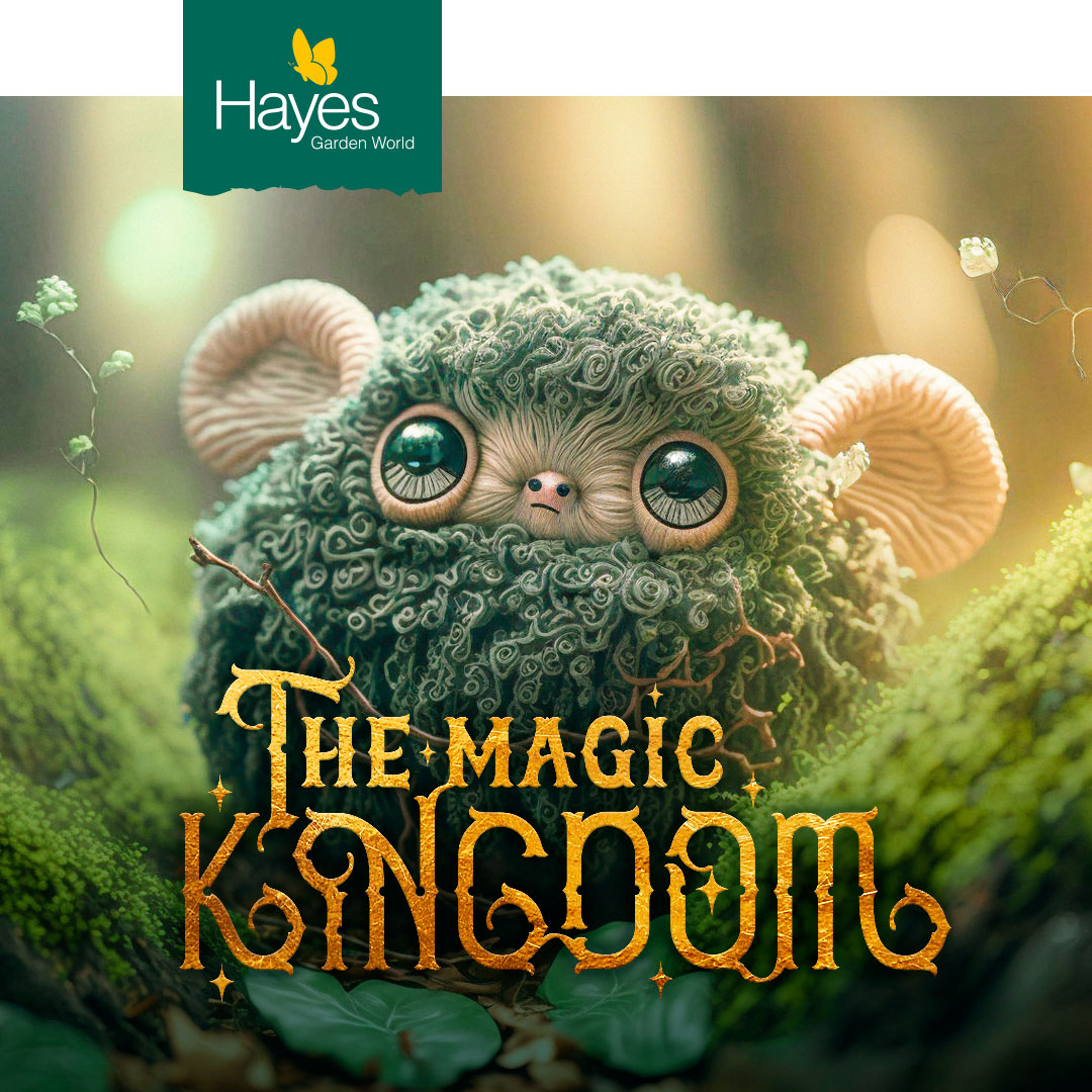 brand-social-media-event-design-hayes-magic-kingdom-teaser-campaign-mosskin