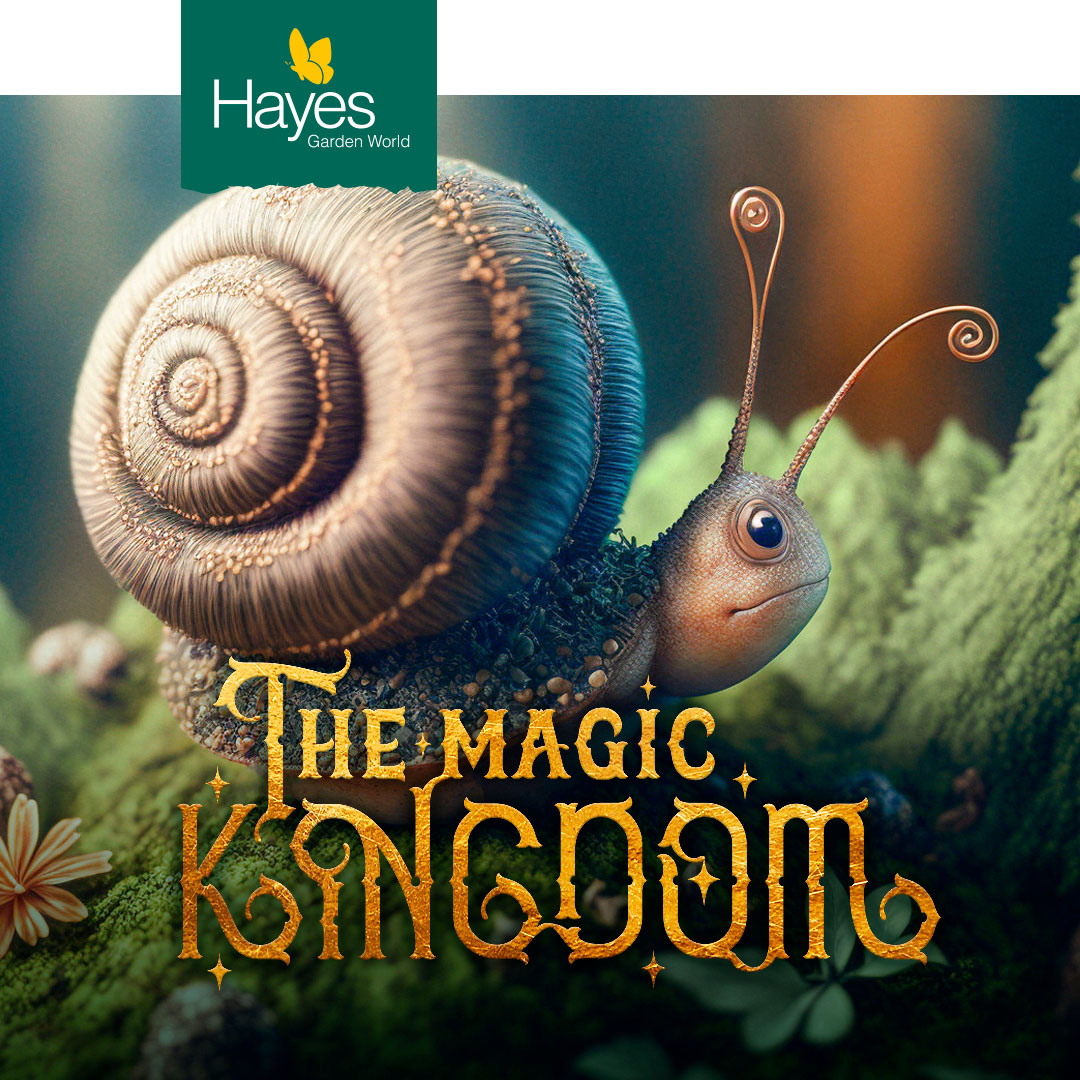 brand-social-media-event-design-hayes-magic-kingdom-teaser-campaign-mossnail