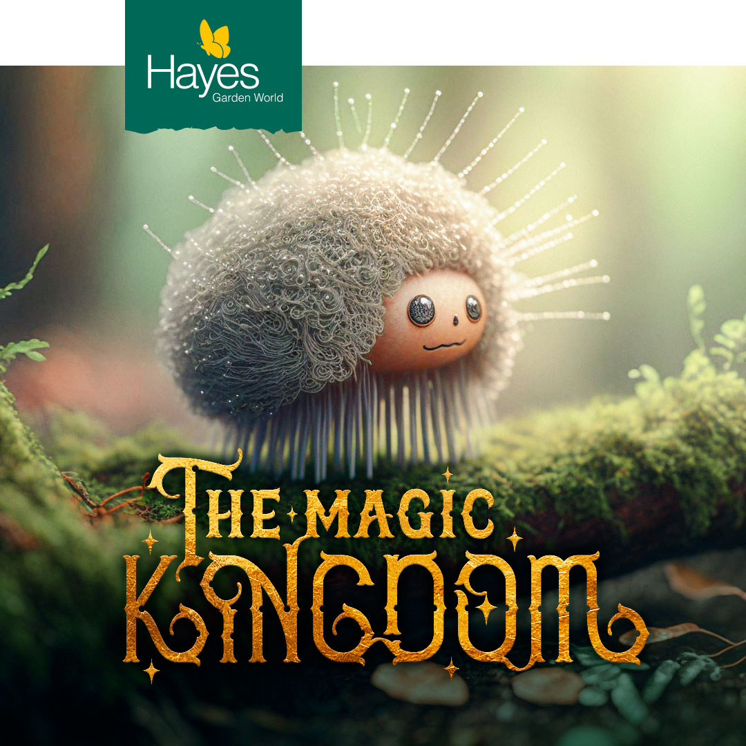 brand-social-media-event-design-hayes-magic-kingdom-teaser-campaign-lichenid