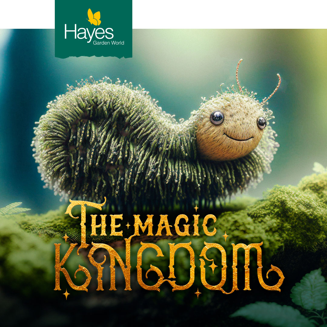 brand-social-media-event-design-hayes-magic-kingdom-teaser-campaign-grassapillar