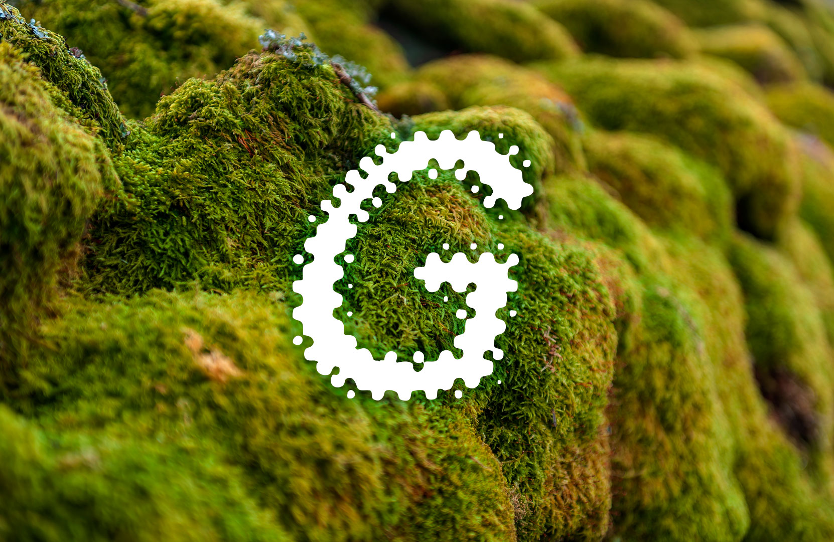 logo-brand-genesis-regeneration-cumbria-county-council-moss